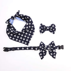 Starfish ~ dog bow tie