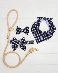 Starfish ~ dog bow tie