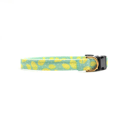 Dog collar ~ Simply the Zest
