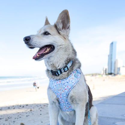 Dog harness ~Barkwatch