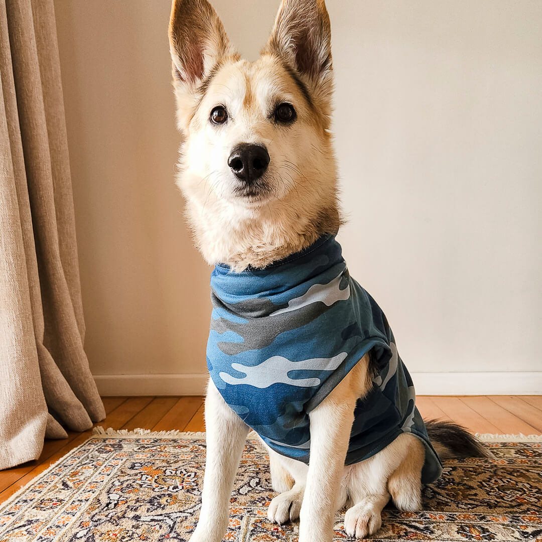 Blueberry camo ~ dog jersey – LA FURMILIA
