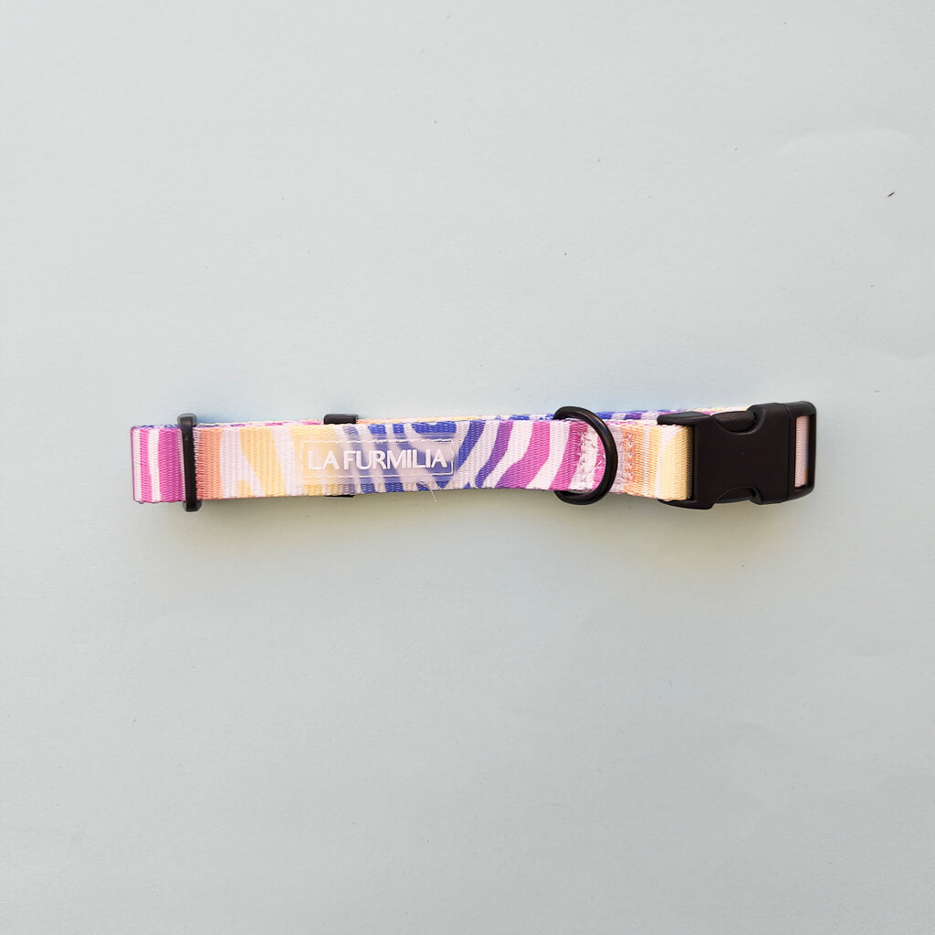 Dog collar ~ Wild Sunrise