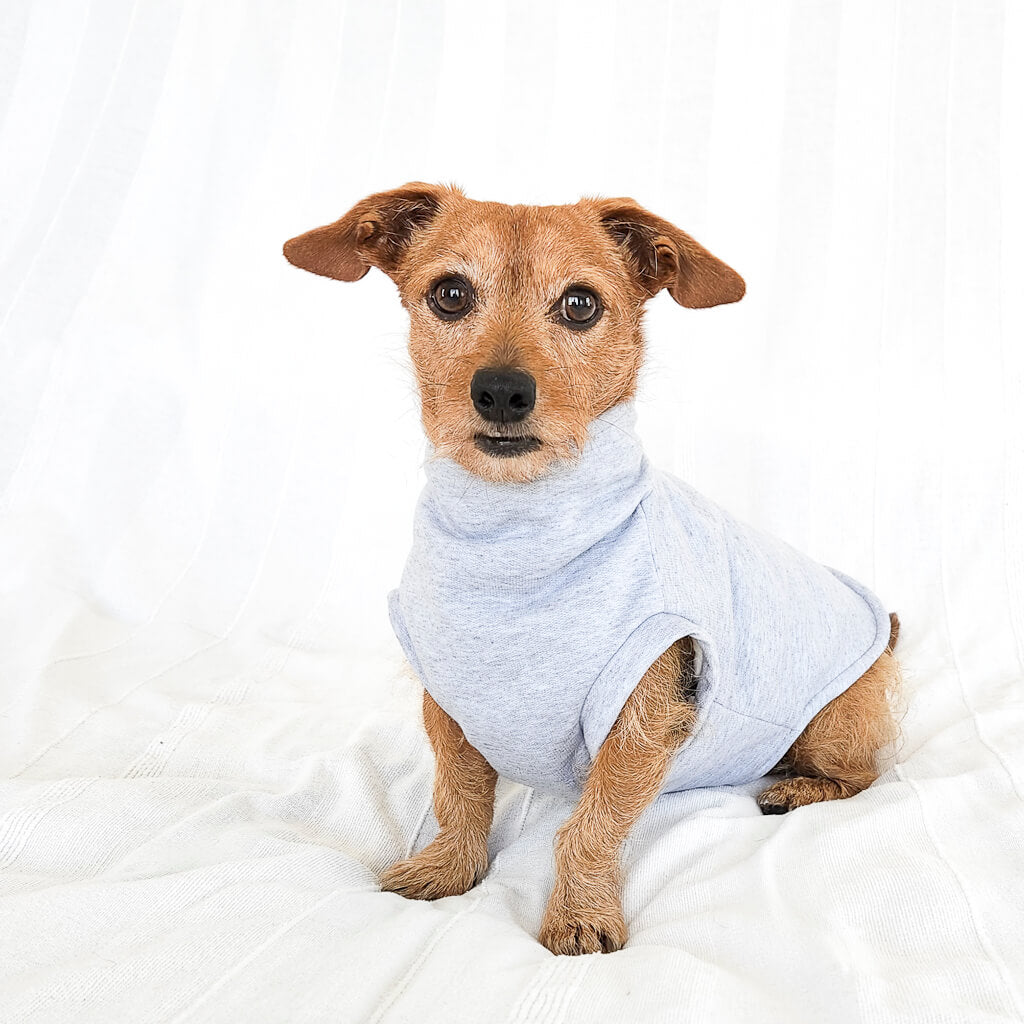 Cloudy with a chance of cuddles ~ dog jersey – LA FURMILIA