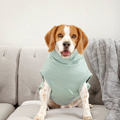 Make mine a mojito ~ dog jersey