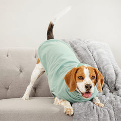 Make mine a mojito ~ dog jersey