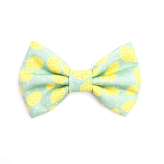 Simply the Zest ~ dog bow tie