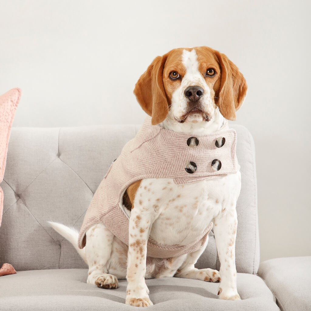 The London ~ luxury dog coat