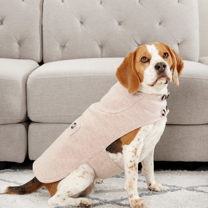 The London ~ luxury dog coat